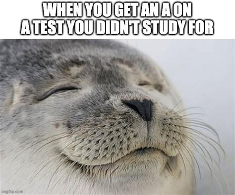 i never study for my tests